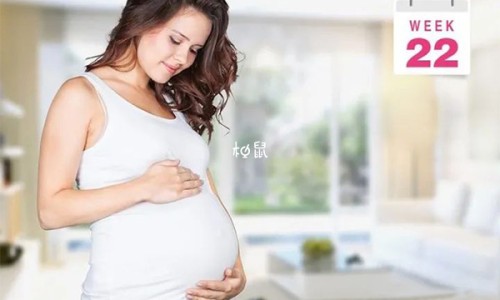木桃可以做什么美食-木桃的吃法网 :分享木桃治什么病最好-木桃治什么病最好知识